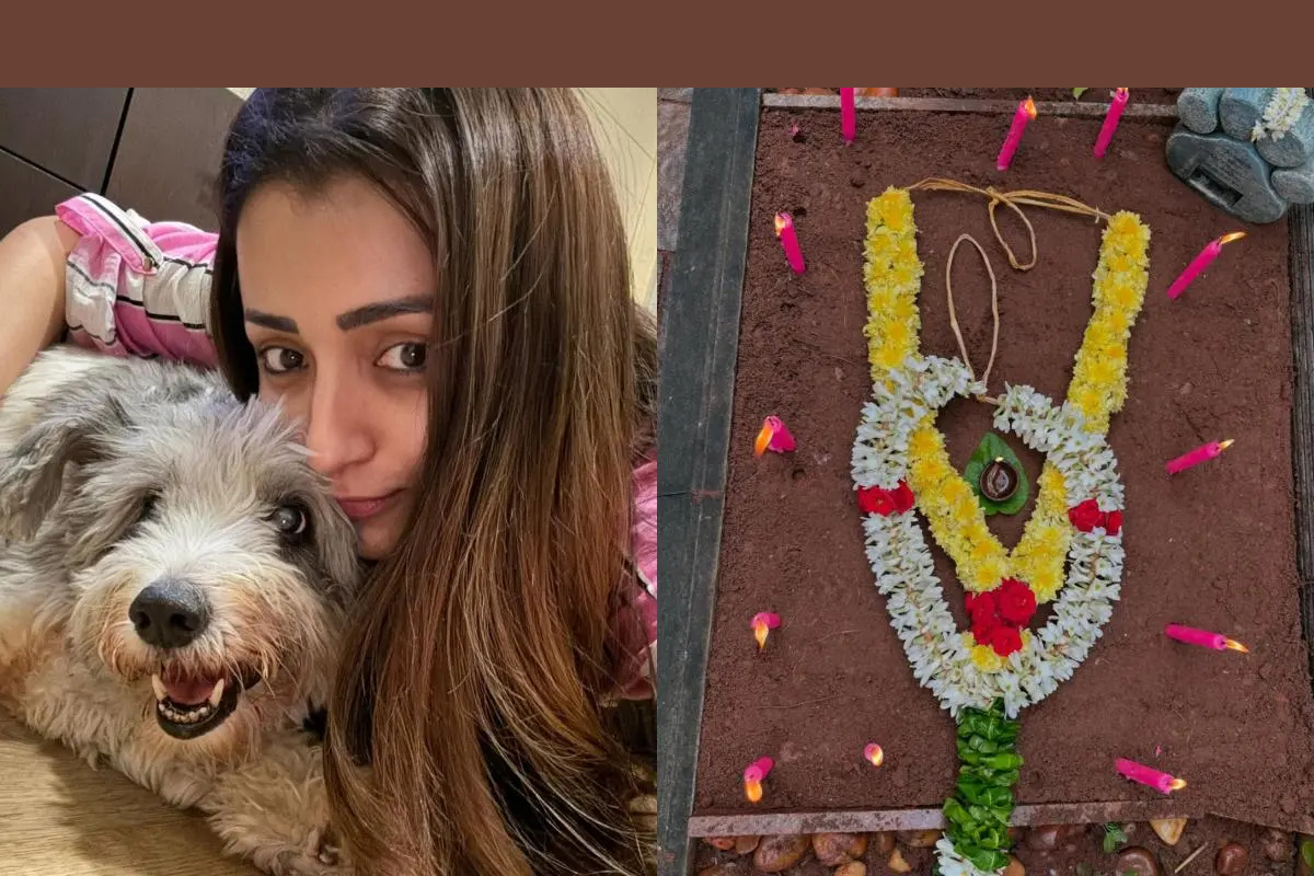 Hello Telugu - Actress Trisha